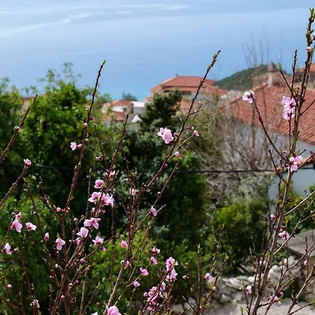 בית הארחה Duka's House Lukovë