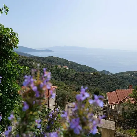 Duka's House בית הארחה