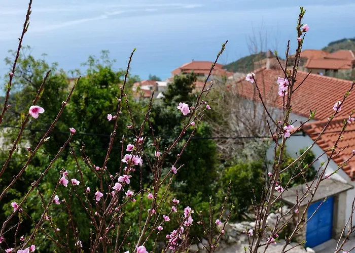 Guest house Duka's House Lukove